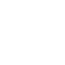 フェスティバル